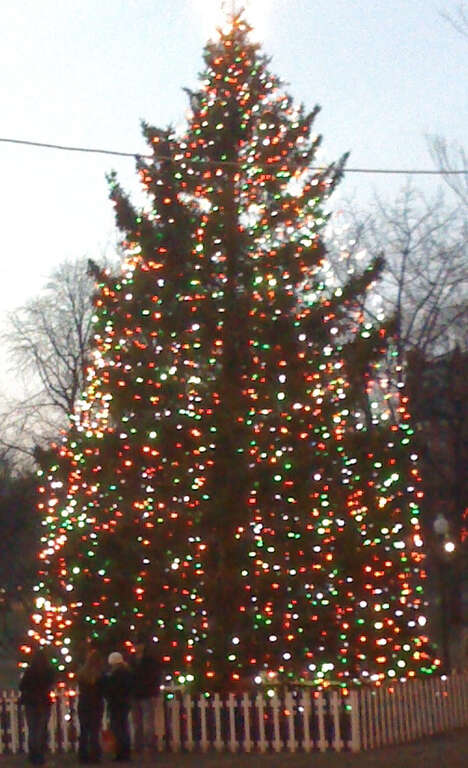 Xmas tree. On the Boston Common, Massachusetts