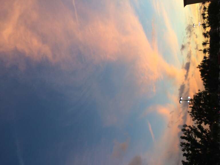 California, USA - March 2016

Orange County (LA) in March 2016