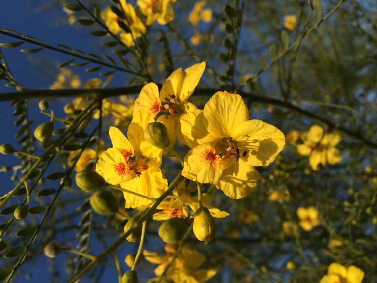 California, USA - March 2016

Orange County (LA) in March 2016