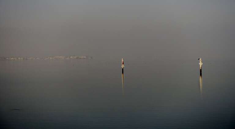 Chula Vista, CA, USA