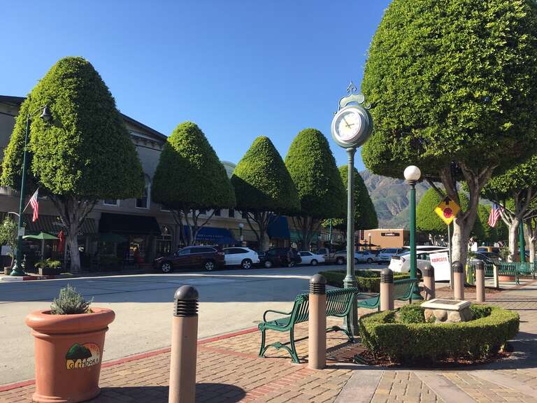 Quaint downtown Glendora with its famous Ficus trees.