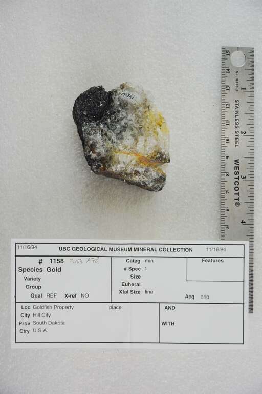 Goldfish Property, Hill City
South Dakota, USA

1158