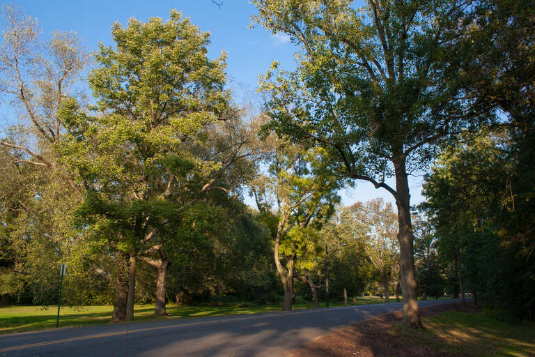 Green Brook Park, All parkland from Clinton Ave. to west of West End Ave., and the junction of Lawrence and Parkview Ave., Fisk and Townsend Pls. Plainfield
