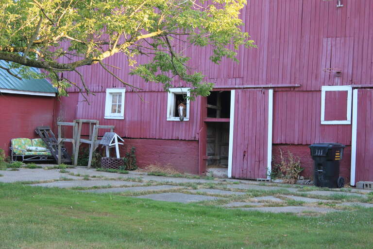 Horse in a barn window, 2509 Joy Road, Northfield Township, Michigan. Camera location42° 20′ 40.18″ N, 83° 42′ 48.96″ W View this and other nearby images on: OpenStreetMap 42.344494;  -83.713600