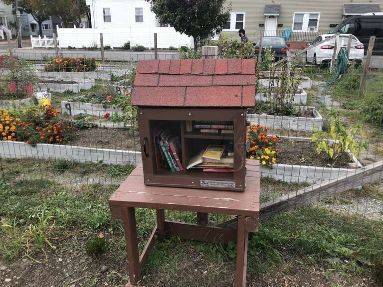 Little Free Library, Malden Massachusetts