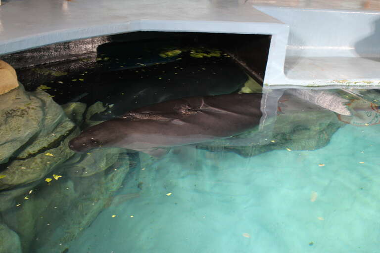 Future World, Epcot, Bay Lake, Orange County, Florida