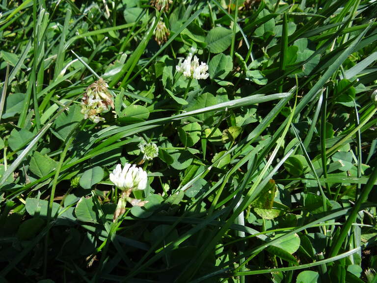 Mt. Cuba Center - Wilmington DE