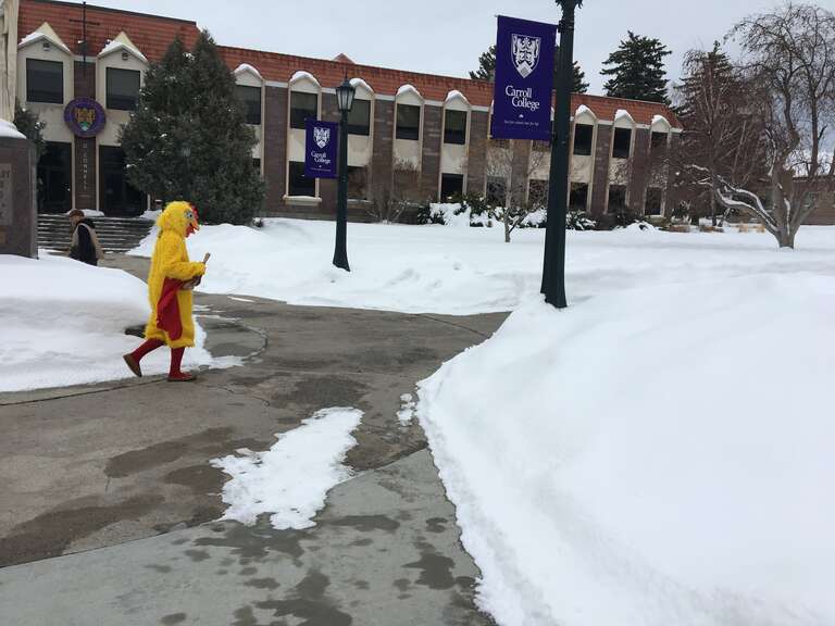 Man in chicken suit walking in front of O'Connell hall