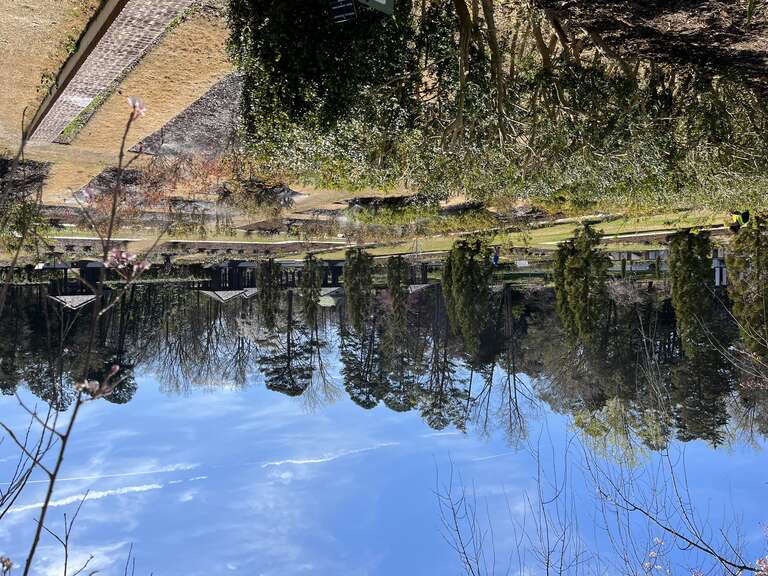 Reynolda Gardens, Winston-Salem, North Carolina