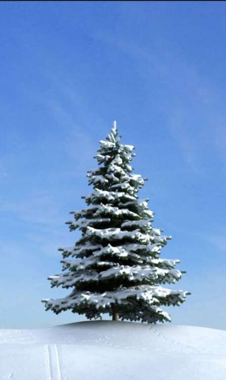 7 inches of snow fell throughout the day