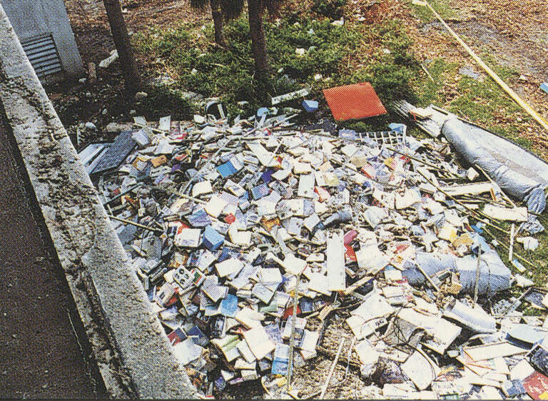Wind swept books at South Dade Regional foliage in the aftermath of Hurricane Andrew. Cropped image from Miami-Dade Public Library System: Annual report, 1991-1992