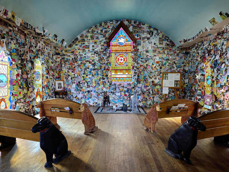 Hundreds of messages from dog owners and dog lovers are tacked to the walls at the Dog Chapel, indeed, a quite serious chapel devoted to departed and/or beloved canine pets. Opened in 1995 on a hillside (&quot;Dog Mountain&quot;) in St. Johnsbury, Vermont by