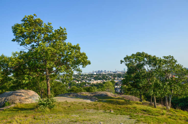 A Leisurely Stroll Through the Waitt's Park on Waitt's Mountain