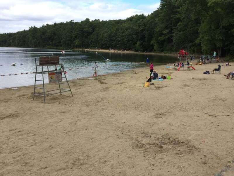 The beach at Walden Pond