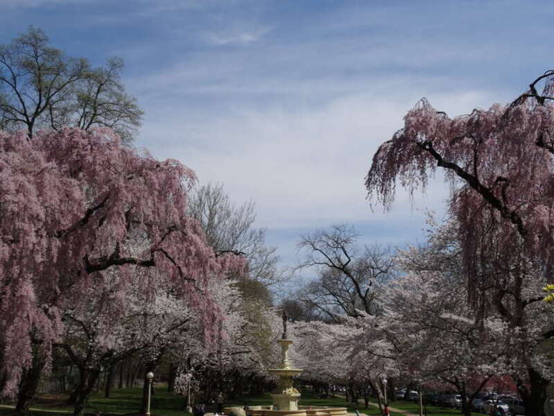 Josephine Fountain in Brandywine Park, Wilmington, Delaware.
