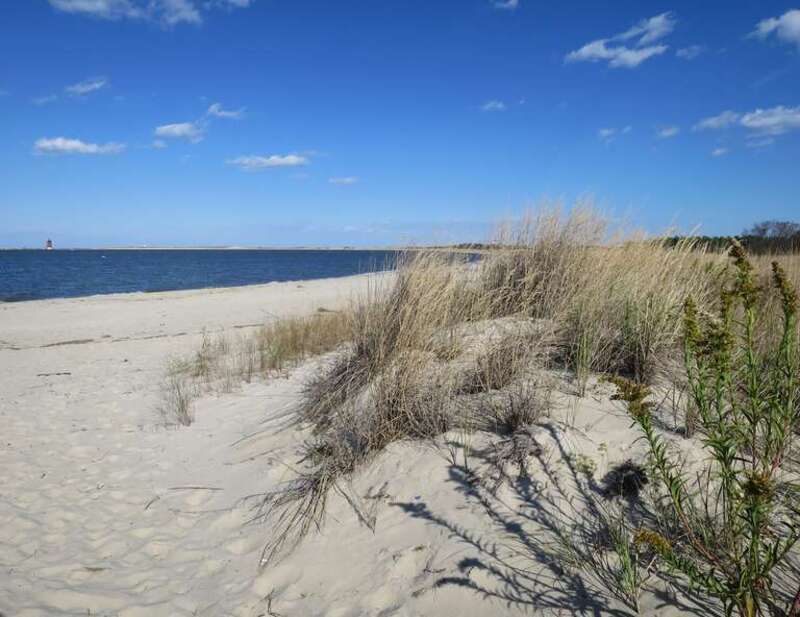 Cape Henlopen State Park