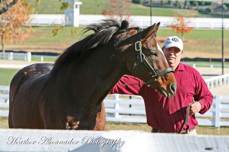 Images by Heather Abounader
www.abounaderphoto.com

abounaderphoto.blogspot.com