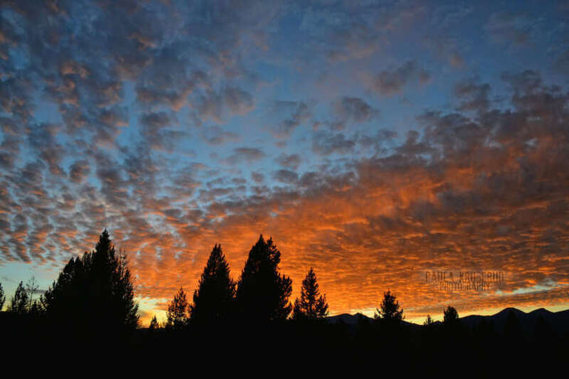500px provided description: Crazy Clouds Sunset [#autumn ,#trees ,#sky ,#forest ,#sunset ,#blue ,#sun ,#light ,#clouds ,#beautiful ,#fall ,#orange]