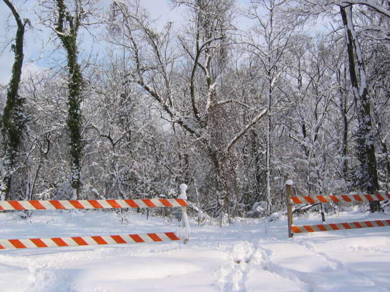 DC, Glover-Archbold Park, February 12, 2006.  (Likely the west-side trail entrance at W Street NW.)