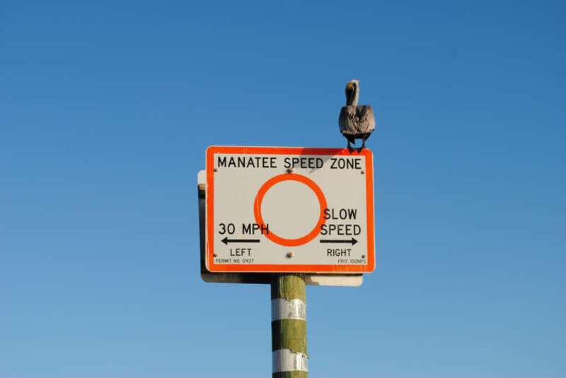 
500px provided description: Gulf of Mexico (Florida), Jan 2012 [#sky ,#guidance ,#road ,#traffic ,#symbol ,#sign ,#warning ,#no person]