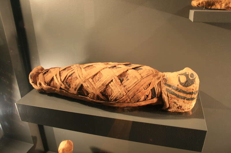 Egypt and Ancient Near East Galleries, Michael C. Carlos Museum, Atlanta, Georgia, USA. Complete indexed photo collection at WorldHistoryPics.com.