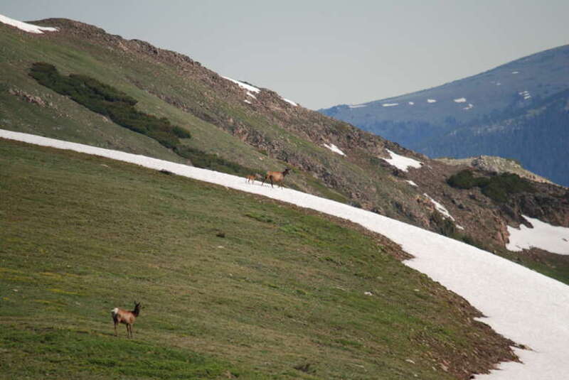 Fort Collins-Loveland, CO, CO, USA