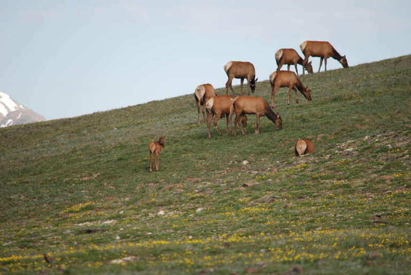 Fort Collins-Loveland, CO, CO, USA