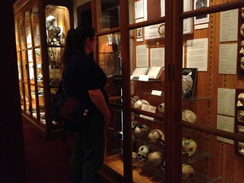 Mütter Museum.