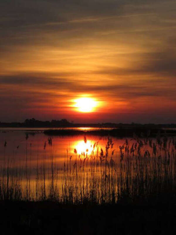 Photo of the Week 3/10/14
Clean water. Clean air. Unusual and abundant wildlife. World-class recreation. The National Wildlife Refuge System provides and protects it all on 150 million acres of land and water from the Caribbean to the Pacific, Maine