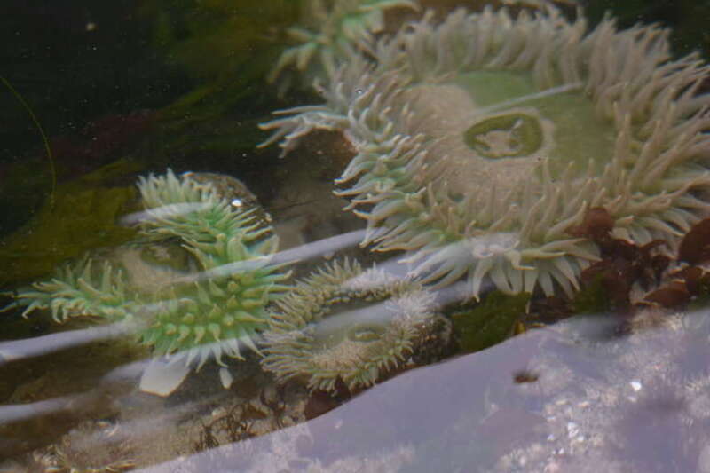 This is an image of a place or building that is listed on the National Register of Historic Places in the United States of America. Its reference number is 97001007.