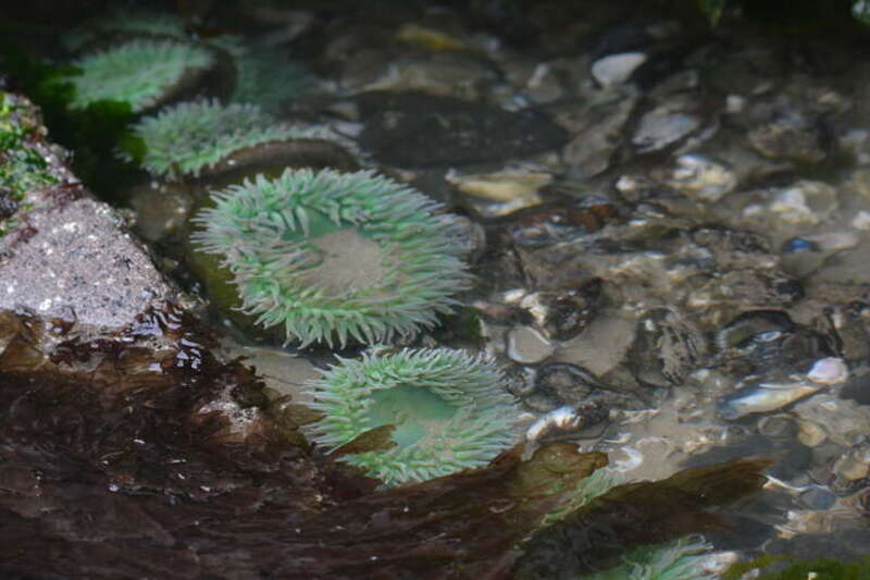 This is an image of a place or building that is listed on the National Register of Historic Places in the United States of America. Its reference number is 97001007.