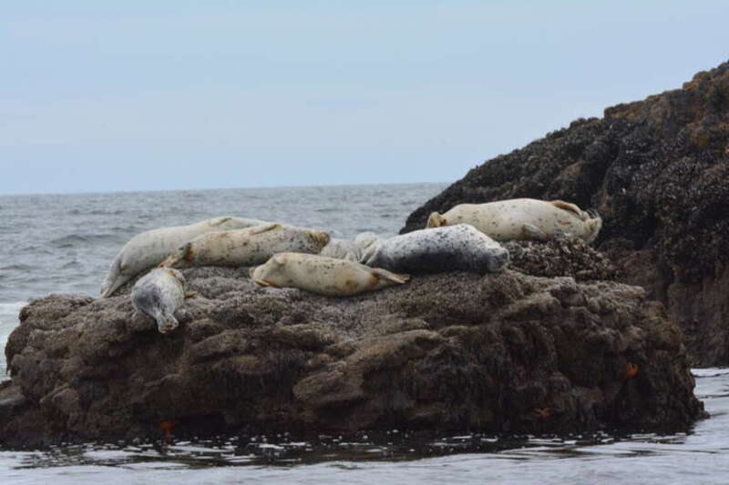 This is an image of a place or building that is listed on the National Register of Historic Places in the United States of America. Its reference number is 97001007.