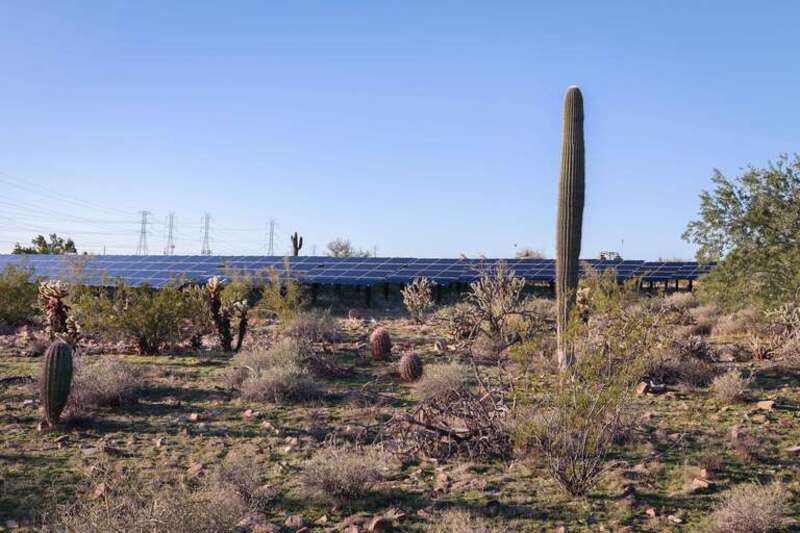 An array of solar collectors at Taliesin West