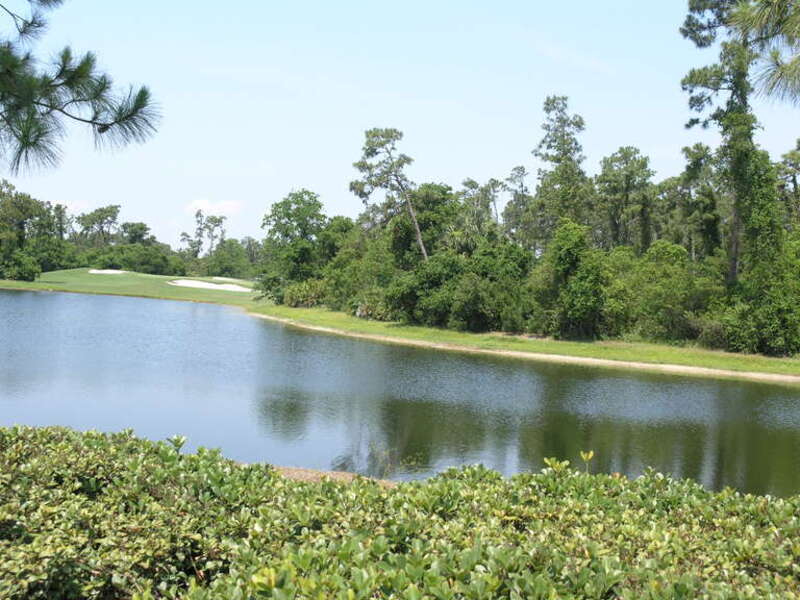 Typhoon Lagoon, Buene Vista, Downtown Disney