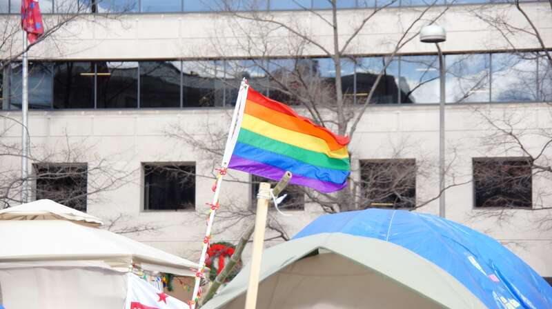 Rainbow flags adorn the Occupy Freedom Plaza camp