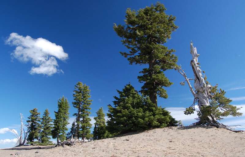 Crater Lake,Oregon,USA.