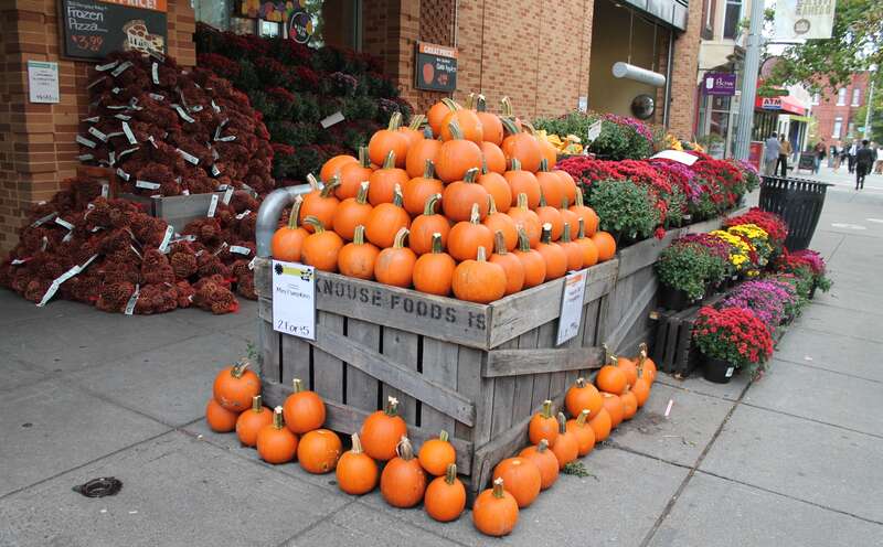 LOGAN CIRCLE NEIGHBORHOOD: Pumpkins, Gourds and Squash Display at WHOLE FOODS MARKET at 1440 P Street, NW, Washington DC on Tuesday afternoon, 14 Octobe 2014 by Elvert Barnes Photography
AUTUMNAL CHANGES Series
PUMPKINS AND SQUASH from WEGMEYER FARMS