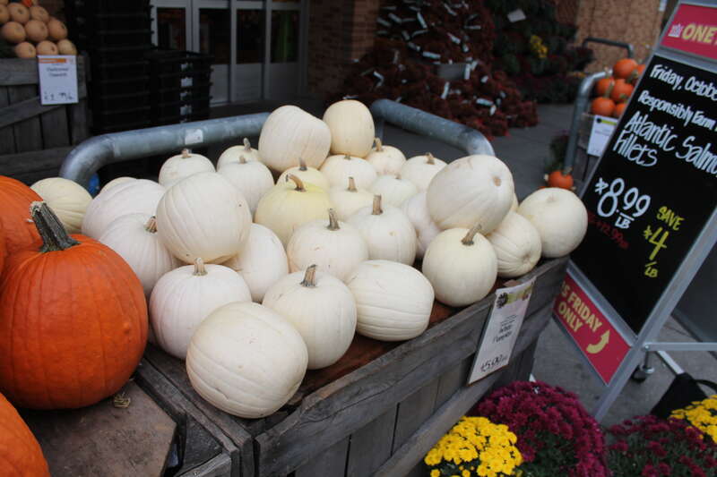 LOGAN CIRCLE NEIGHBORHOOD: Pumpkins, Gourds and Squash Display at WHOLE FOODS MARKET at 1440 P Street, NW, Washington DC on Tuesday afternoon, 14 Octobe 2014 by Elvert Barnes Photography
AUTUMNAL CHANGES Series
PUMPKINS AND SQUASH from WEGMEYER FARMS