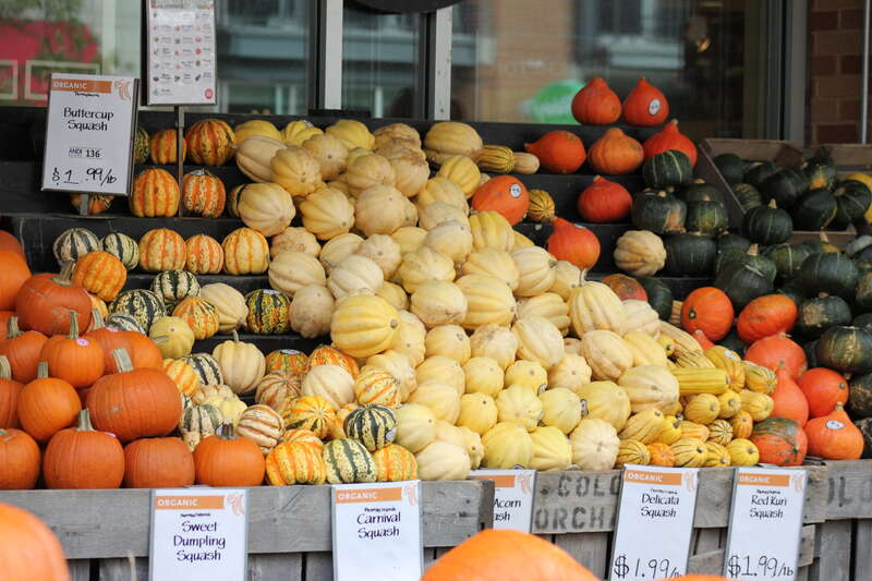 LOGAN CIRCLE NEIGHBORHOOD: Pumpkins, Gourds and Squash Display at WHOLE FOODS MARKET at 1440 P Street, NW, Washington DC on Tuesday afternoon, 14 Octobe 2014 by Elvert Barnes Photography
AUTUMNAL CHANGES Series
PUMPKINS AND SQUASH from WEGMEYER FARMS