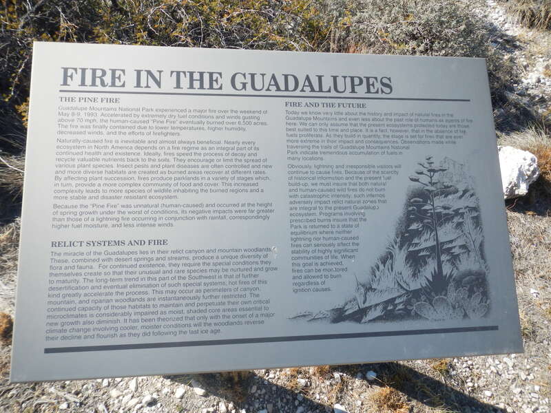 An informational sign about fire along the Pinery Trail near the visitor center in Guadalupe Mountains National Park, Texas.