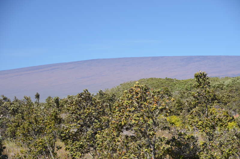 Mauna Loa