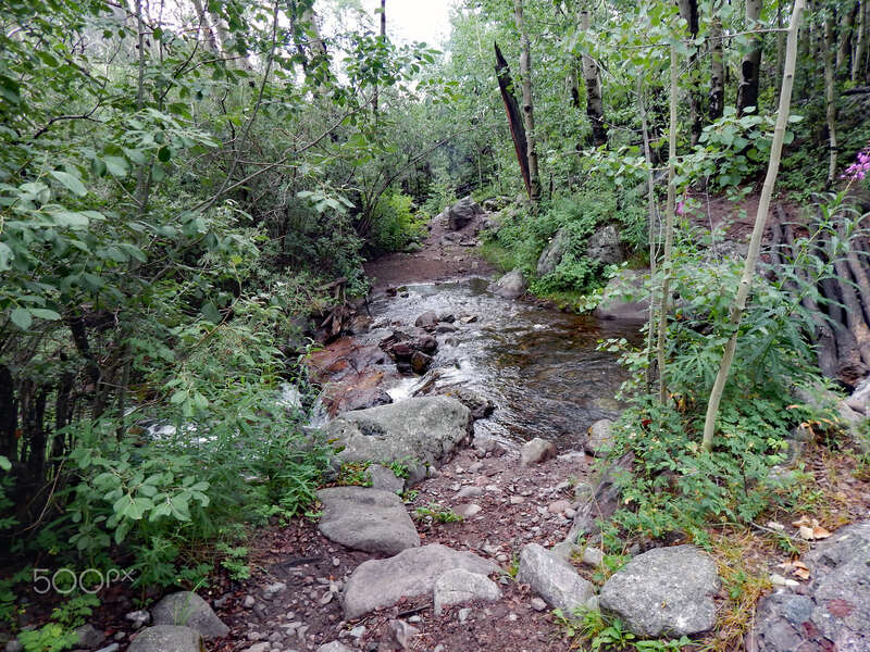 500px provided description: A hiking trail in early September [#landscape ,#fog ,#forest ,#mountains ,#river ,#landscapes ,#misty ,#colorado ,#hiking ,#camping ,#rocky mountains]