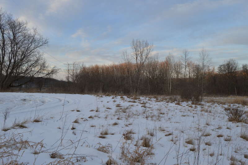 Eastern edge of a parking lot near National Park Service offices in the Cuyahoga Valley National Park, located on Vaughn Road in Brecksville, Ohio, United States.  The parking lot sits in the middle of the Vaughn Site, an Archaic and Woodland