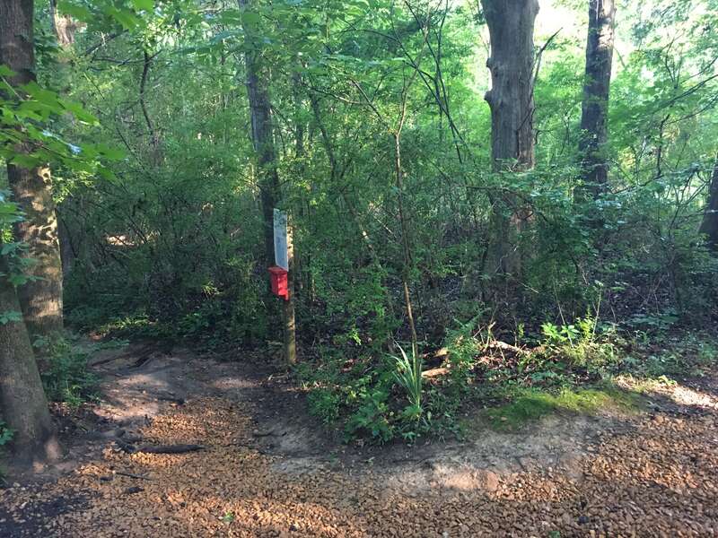 The Bailey Woods Trail to Rowan Oak in Oxford, Mississippi