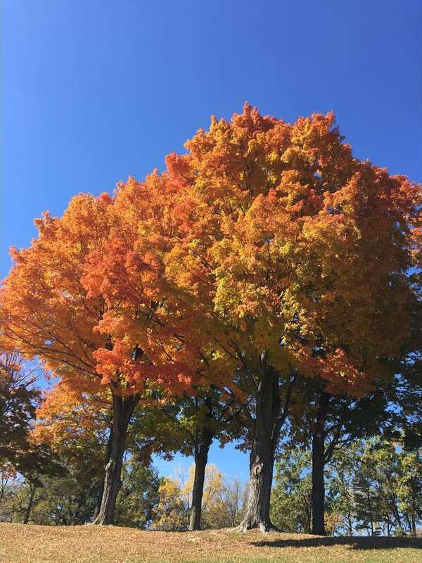 Boom! Check out this color on Bolivar Heights. See more Fall Color featured on the 'usinterior' Snapchat today until midnight! -sz (NPS Photo, Zurbuch) #HarpersFerry #ColorWatch2015 #BolivarHeights #GoToWV