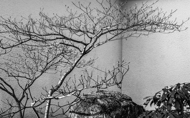 Early morning light at the entrance to the Japanese Garden in Portland, Oregon.