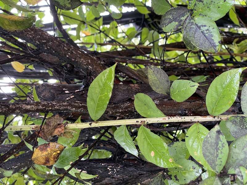 Seen in Clarksdale, Mississippi