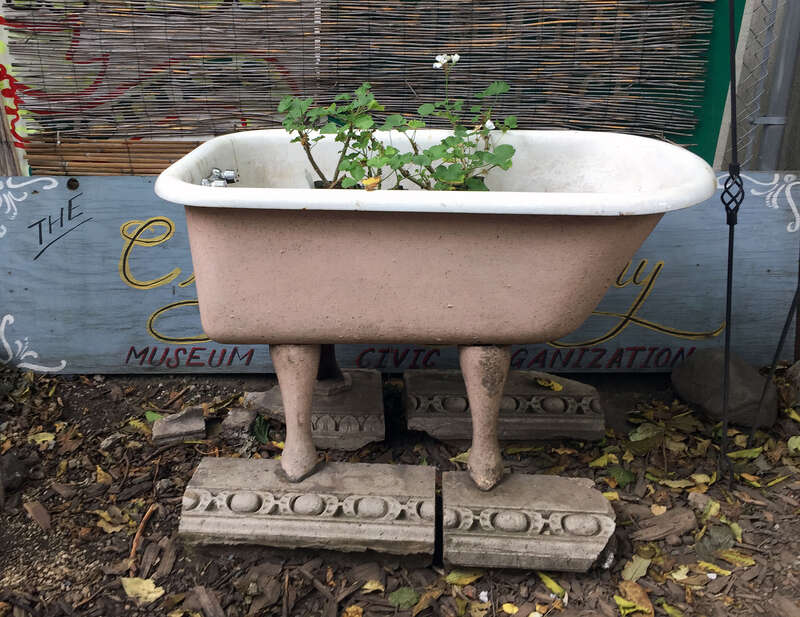 In the backyard at the City Reliquary museum in Williamsburg, taken on 10/14 during Open House New York weekend.