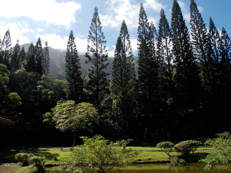 The grounds on the Byodo-In Temple, a non-denominational Buddhist temple, located at the Valley of the Temples on Oahu,Hawaii.