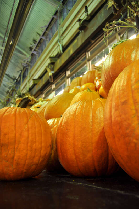 Chelsea Market, New York City